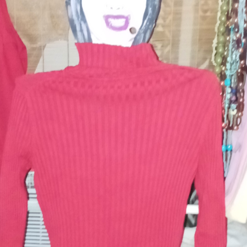 Womens turtleneck